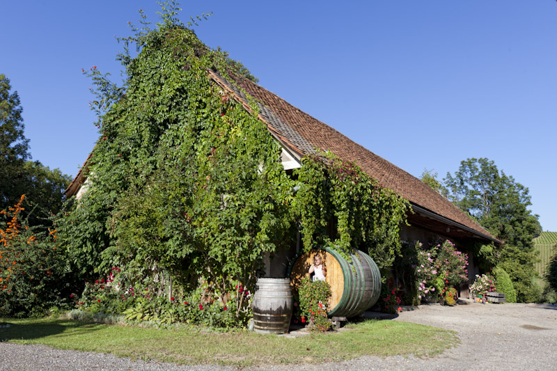 BioWeingut Karl Renner